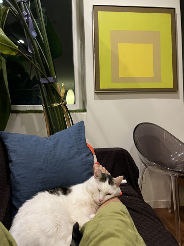 Installation View of Carole Eisner