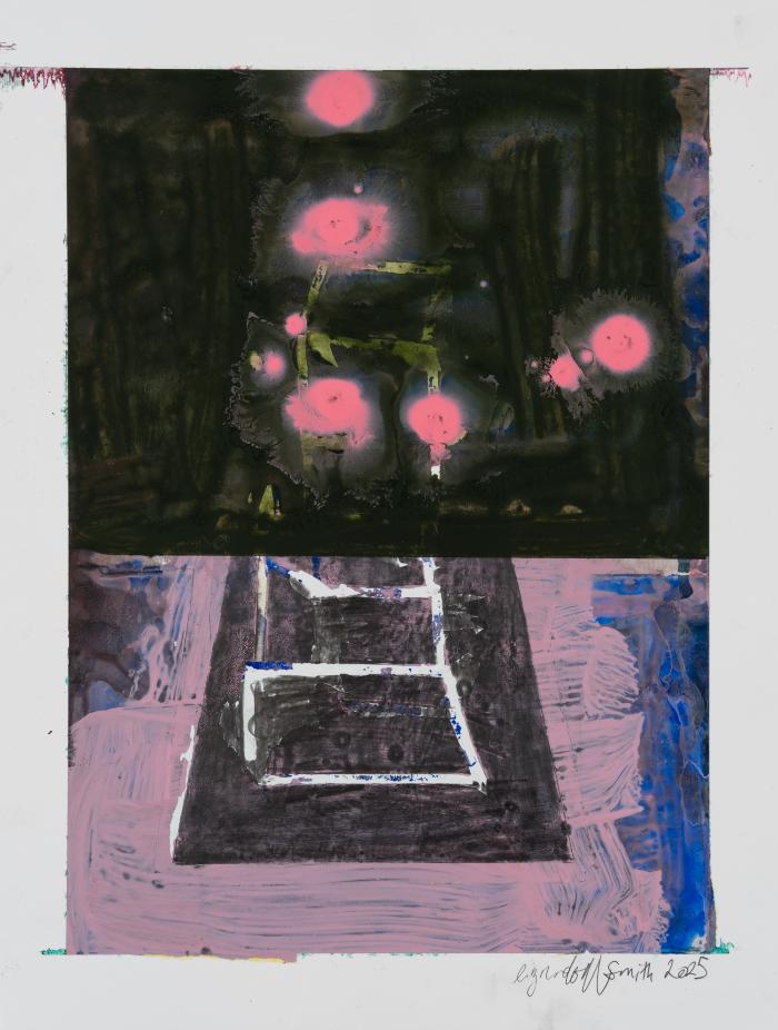 Afterimage by Liz Rundorff Smith