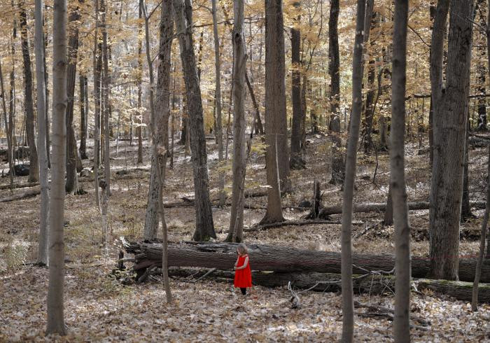 Marking Her Trail by Maria Passarotti