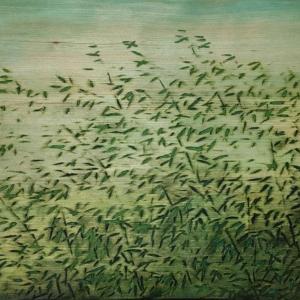 Grain Spring 2 by Duck-Yong Kim