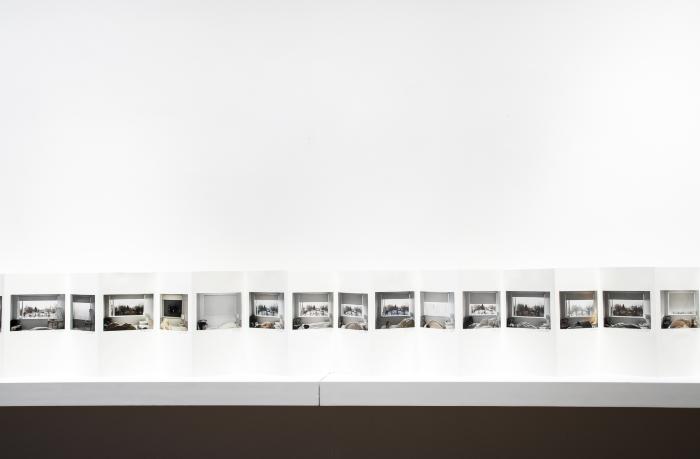 Installation View of Dwelling