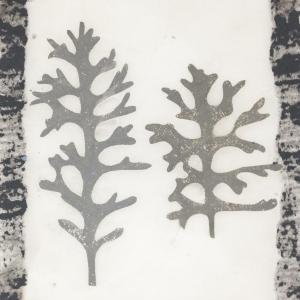 Breathing Space by Angela A'Court