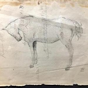 Horse VI by Jason Noushin