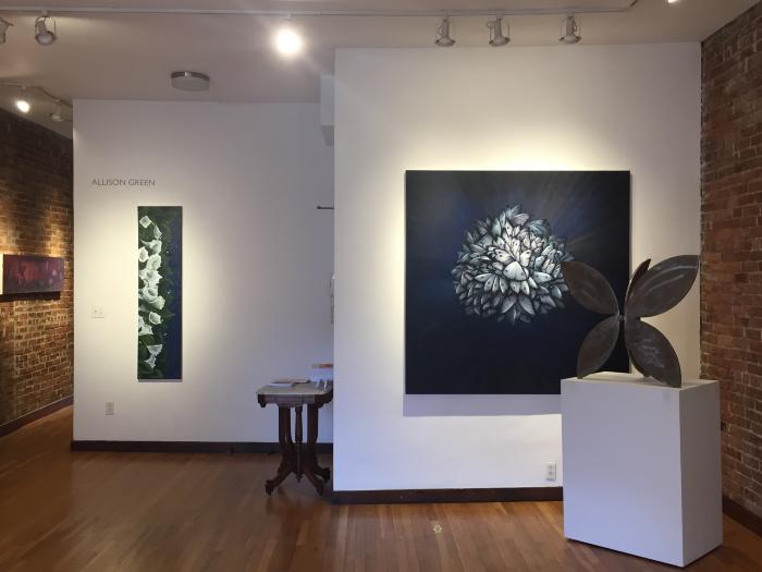 Installation View of The Night Garden