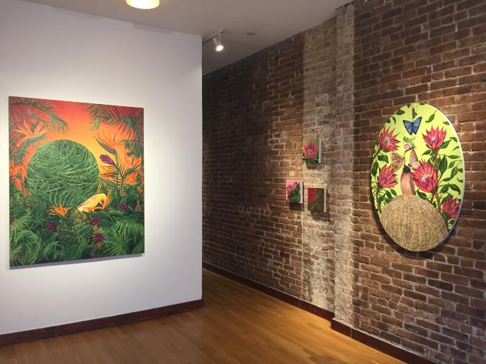 Installation View of The Night Garden