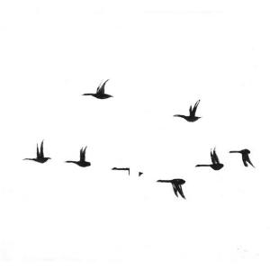 Geese by Rachel Burgess