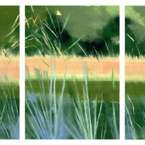 Blue Grass by Rachel Burgess