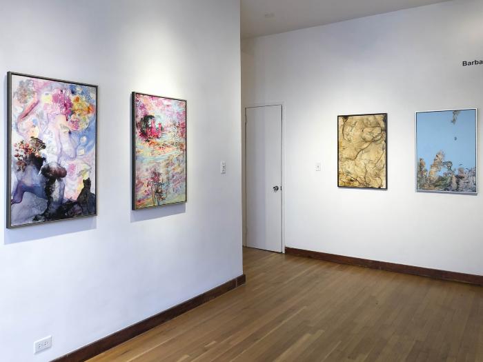 Installation View of Liane Ricci &amp; Barbara Strasen