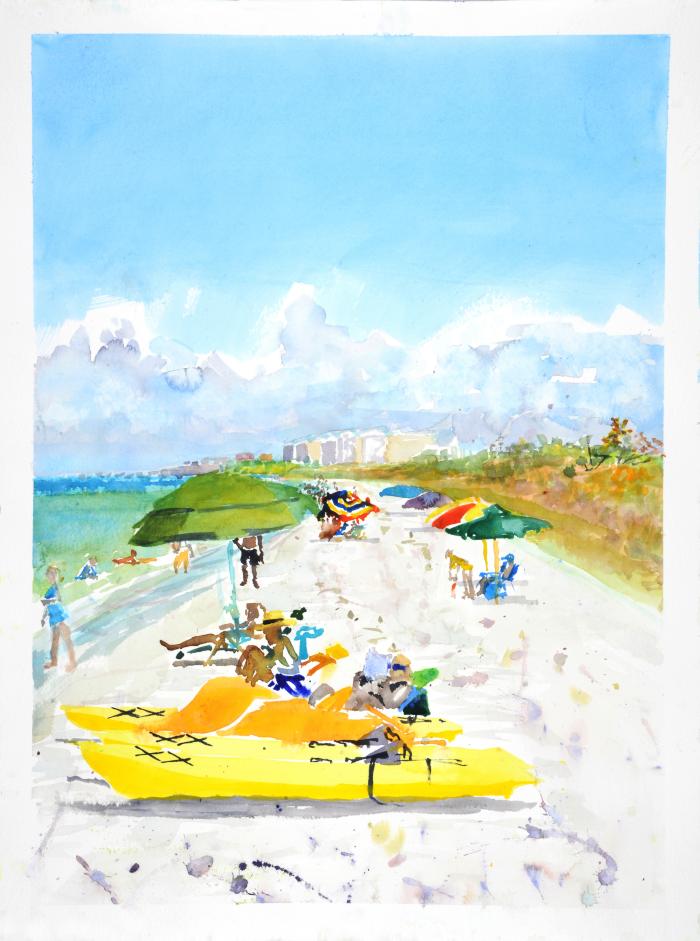 Barefoot Beach, Naples 2 by Steve Singer