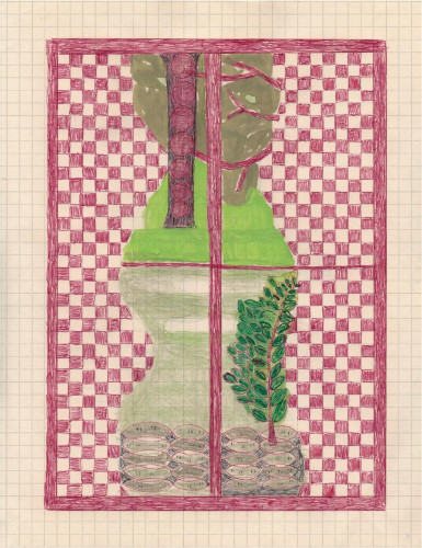 Checkered Curtains by Caroline Blum