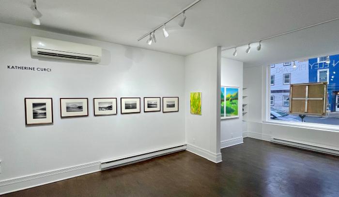 Installation View of This Land.