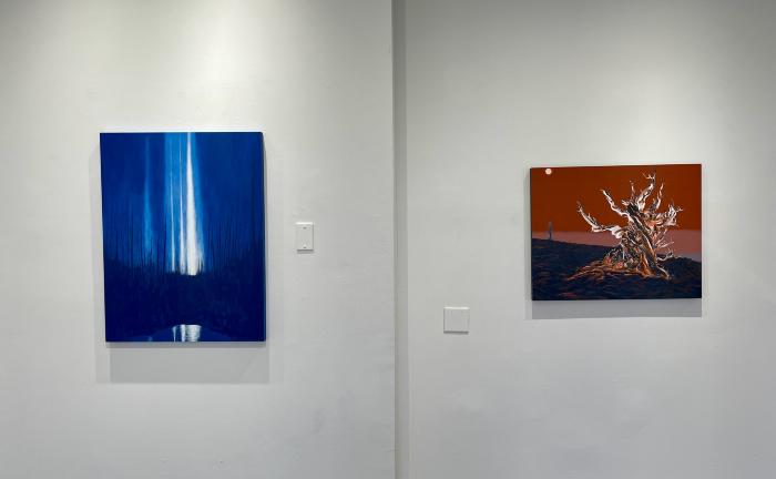 Installation View of Bearing Witness