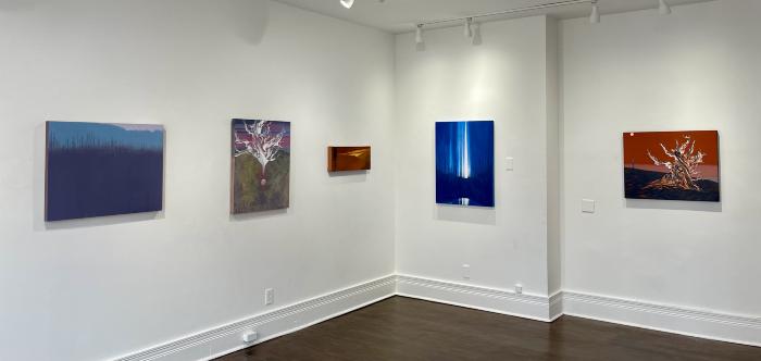 Installation View of Bearing Witness