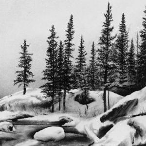 Winter Scene in Yoho by Katherine Curci