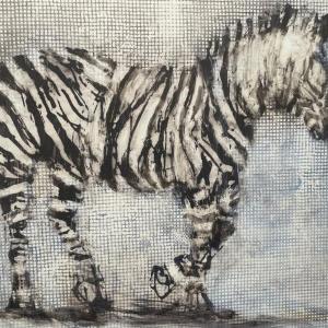 Zebra by Alicia Rothman