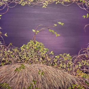 Deep Violet Thicket by Allison Green