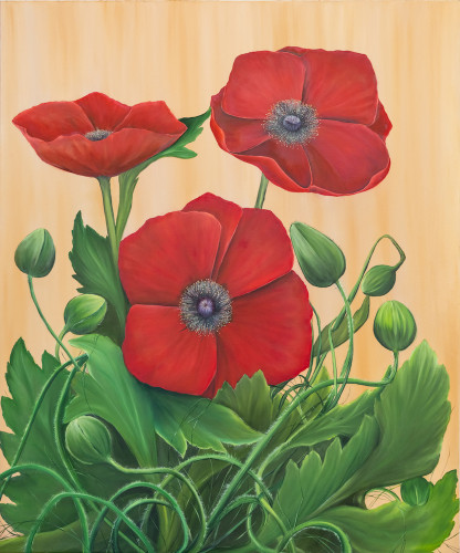 Corn Poppies by Allison Green