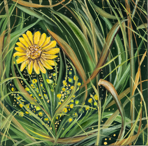 Wild Flower Study by Allison Green