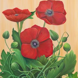 Corn Poppies by Allison Green