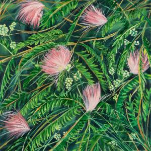 Albizia Julibrissin Study by Allison Green