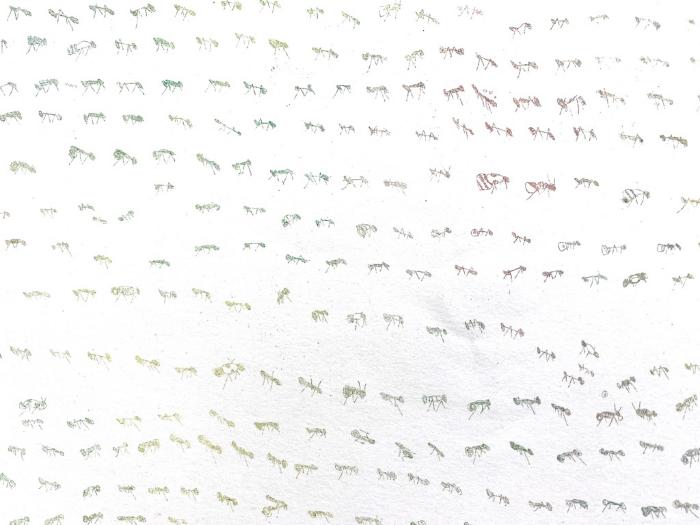 Ants (Rainbow) by Fumiko Toda