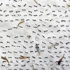 Ants (Petal) by Fumiko Toda