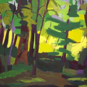A Recollection of Light by Rachelle Krieger