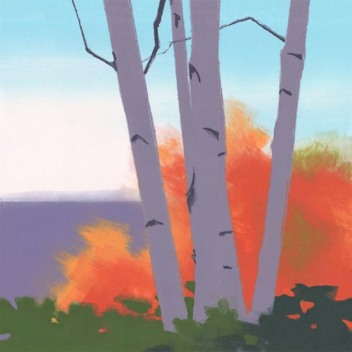 Five Birches by Rachel Burgess