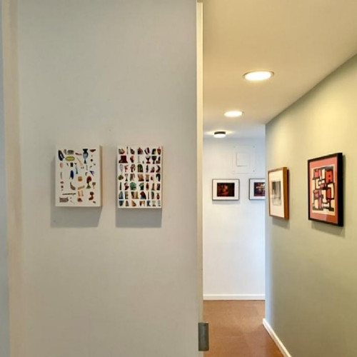 Installation View of Sasha Hallock