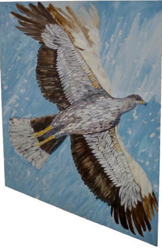 Eagle by Carole Eisner