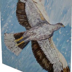 Eagle by Carole Eisner