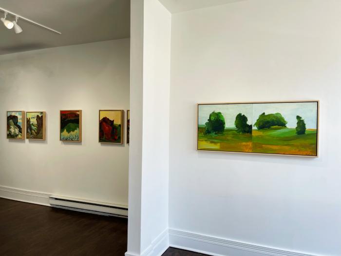 Installation View of Refracted Wilderness