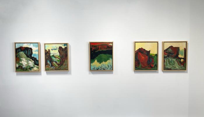 Installation View of Refracted Wilderness