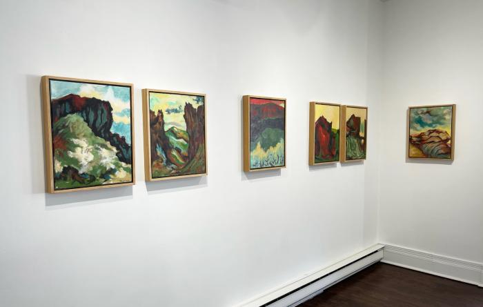 Installation View of Refracted Wilderness