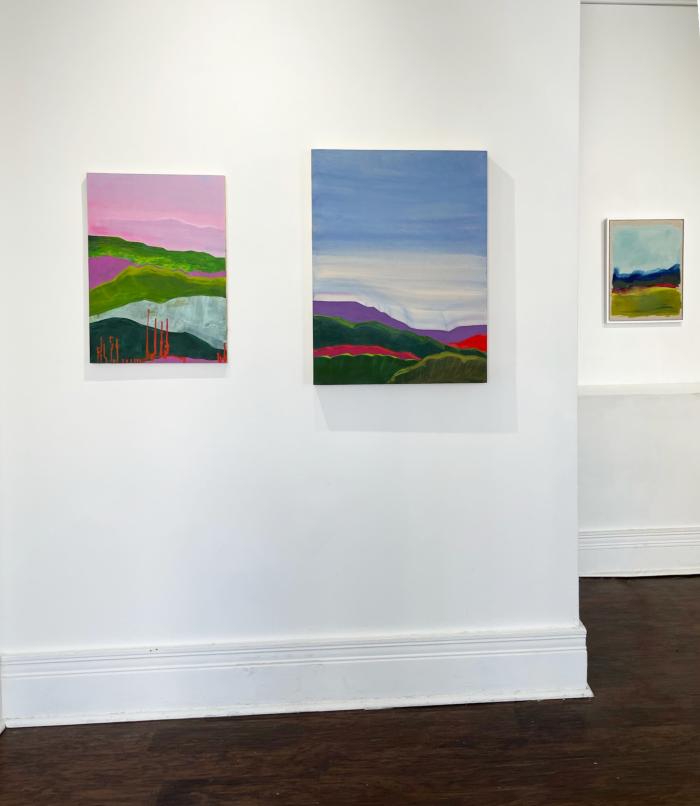 Installation View of Refracted Wilderness