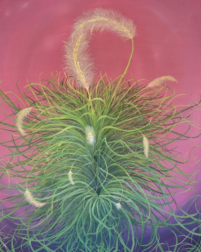 Fountain Grass by Allison Green