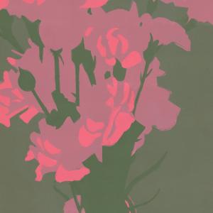 Pink Carnations  by Rachel Burgess