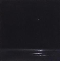 Midnight by Donna Levinstone