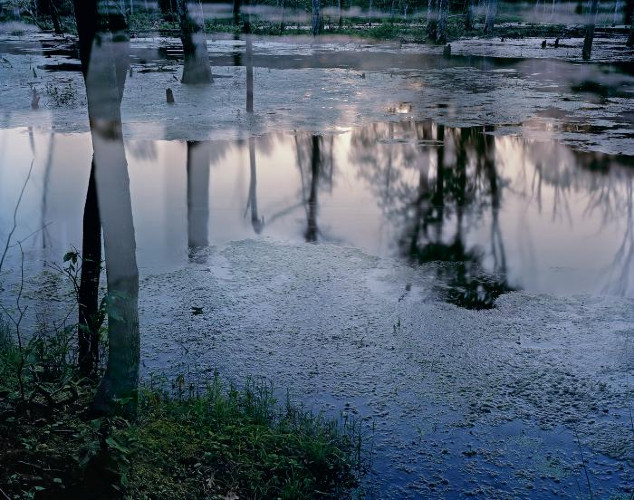 Lovely, Dark and Deep #14 by Carolyn Monastra