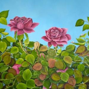 July Roses by Allison Green