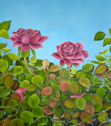 July Roses by Allison Green