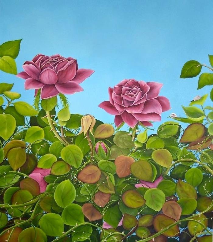 July Roses by Allison Green