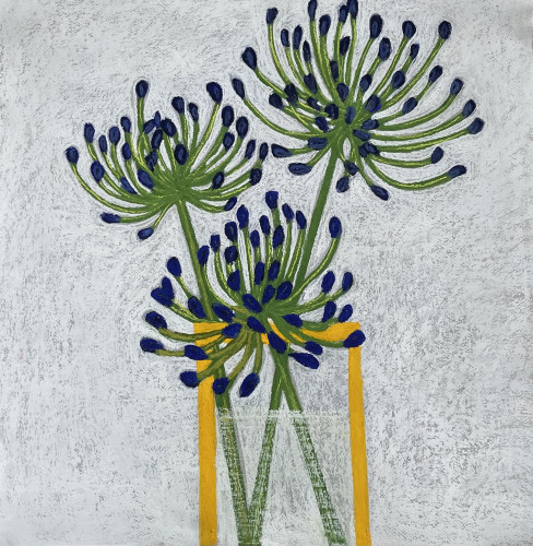 Agapanthus by Angela A'Court