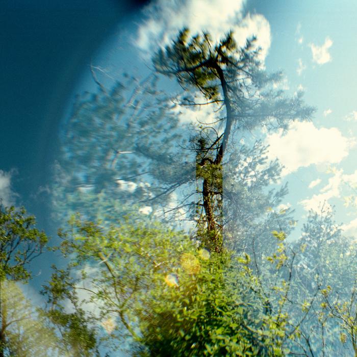 Transitory Space, Jamaica Bay, Queens, NYC, Cloud Tree # 2 by Leah Oates