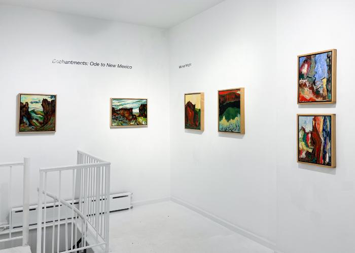 Installation View of Enchantments: Ode to New Mexico